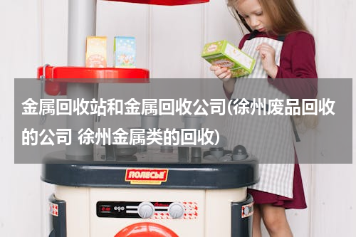 金属回收站和金属回收公司(徐州废品回收的公司 徐州金属类的回收)
