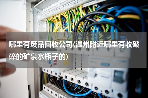 哪里有废品回收公司(温州附近哪里有收破碎的矿泉水瓶子的)