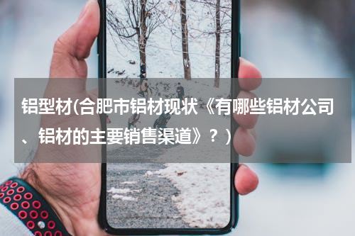 铝型材(合肥市铝材现状《有哪些铝材公司、铝材的主要销售渠道》？)