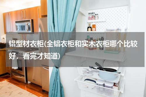 铝型材衣柜(全铝衣柜和实木衣柜哪个比较好，看完才知道)