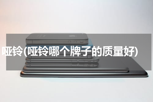 哑铃(哑铃哪个牌子的质量好)