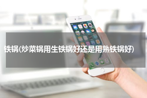 铁锅(炒菜锅用生铁锅好还是用熟铁锅好)