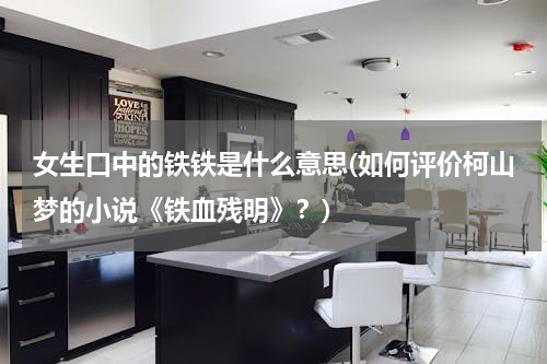 女生口中的铁铁是什么意思(如何评价柯山梦的小说《铁血残明》？)
