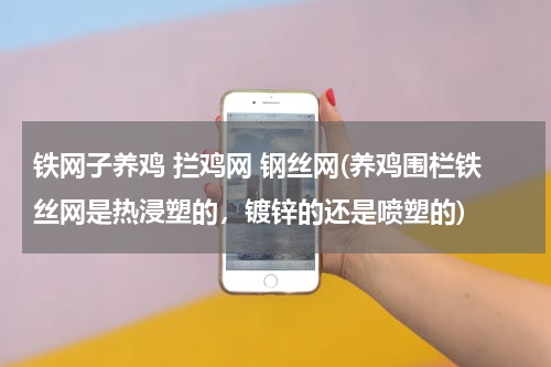 铁网子养鸡 拦鸡网 钢丝网(养鸡围栏铁丝网是热浸塑的，镀锌的还是喷塑的)