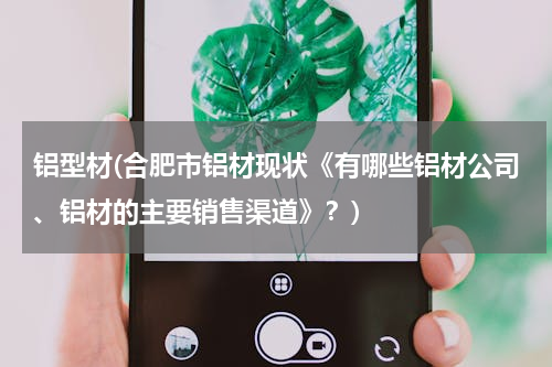 铝型材(合肥市铝材现状《有哪些铝材公司、铝材的主要销售渠道》？)