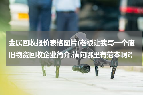 金属回收报价表格图片(老板让我写一个废旧物资回收企业简介,请问哪里有范本啊?)