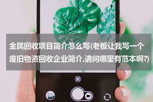 金属回收项目简介怎么写(老板让我写一个废旧物资回收企业简介,请问哪里有范本啊?)