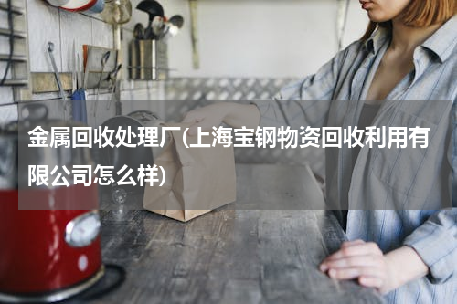 金属回收处理厂(上海宝钢物资回收利用有限公司怎么样)