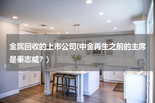 金属回收的上市公司(中金再生之前的主席是秦志威？)