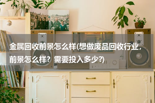 金属回收前景怎么样(想做废品回收行业，前景怎么样？需要投入多少?)