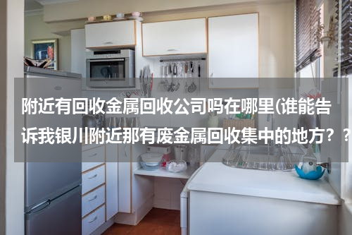 附近有回收金属回收公司吗在哪里(谁能告诉我银川附近那有废金属回收集中的地方？？？)