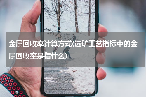 金属回收率计算方式(选矿工艺指标中的金属回收率是指什么)