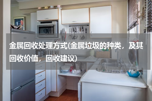 金属回收处理方式(金属垃圾的种类，及其回收价值，回收建议)