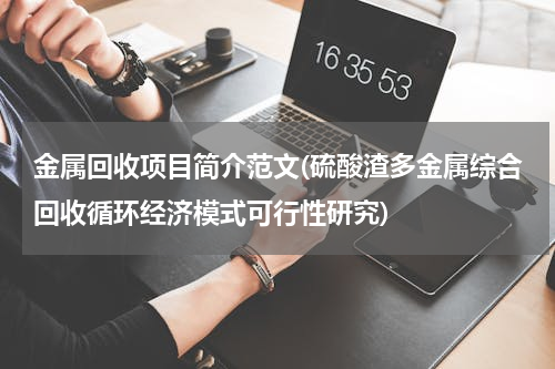 金属回收项目简介范文(硫酸渣多金属综合回收循环经济模式可行性研究)