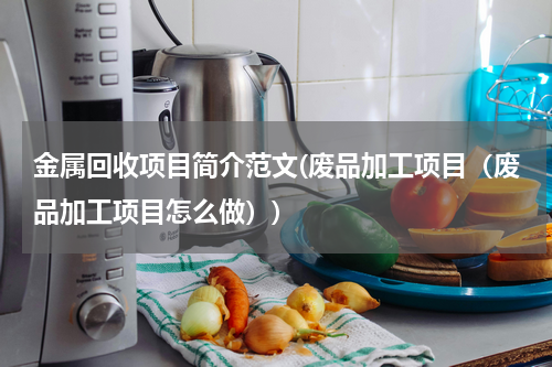 金属回收项目简介范文(废品加工项目（废品加工项目怎么做）)