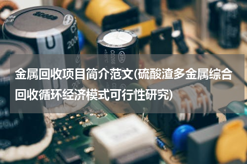 金属回收项目简介范文(硫酸渣多金属综合回收循环经济模式可行性研究)