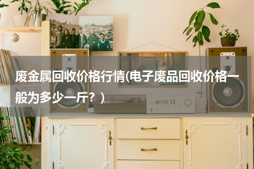 废金属回收价格行情(电子废品回收价格一般为多少一斤？)