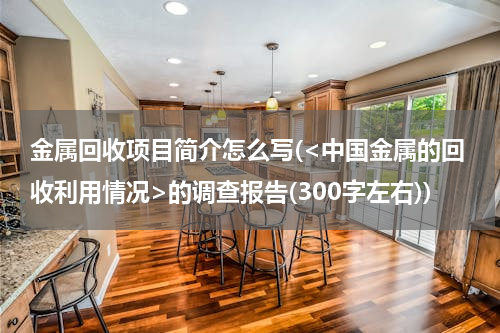 金属回收项目简介怎么写(<中国金属的回收利用情况>的调查报告(300字左右))