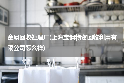 金属回收处理厂(上海宝钢物资回收利用有限公司怎么样)