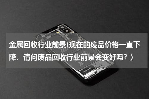 金属回收行业前景(现在的废品价格一直下降，请问废品回收行业前景会变好吗？)