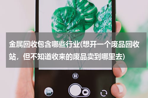 金属回收包含哪些行业(想开一个废品回收站，但不知道收来的废品卖到哪里去)