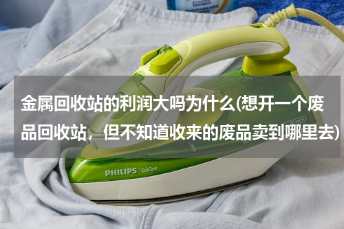 金属回收站的利润大吗为什么(想开一个废品回收站，但不知道收来的废品卖到哪里去)