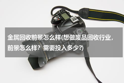 金属回收前景怎么样(想做废品回收行业，前景怎么样？需要投入多少?)