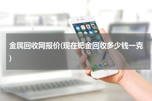 金属回收网报价(现在钯金回收多少钱一克)