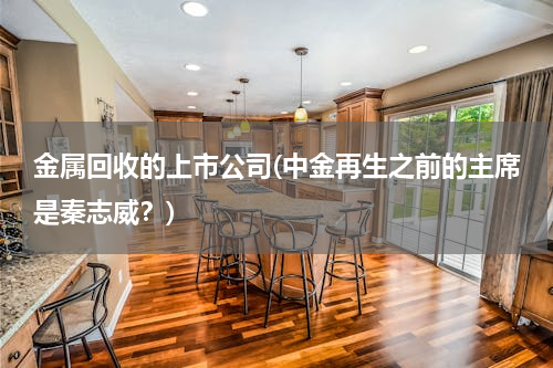 金属回收的上市公司(中金再生之前的主席是秦志威？)