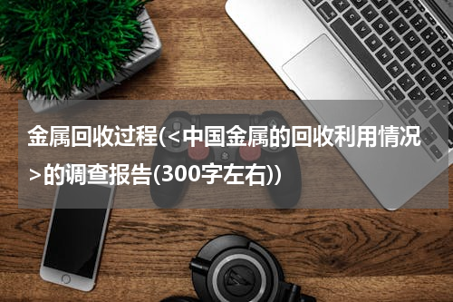 金属回收过程(<中国金属的回收利用情况>的调查报告(300字左右))