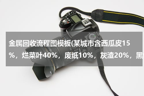 金属回收流程图模板(某城市含西瓜皮15%，烂菜叶40%，废纸10%，灰渣20%，黑色金属2%，废塑料13%，（1）设计合理的工艺流程图，将)