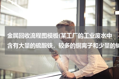 金属回收流程图模板(某工厂的工业废水中含有大量的硫酸铁，较多的铜离子和少量的钠离子。为了减少污染并变废为宝，工厂计划从)
