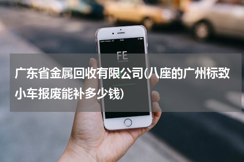 广东省金属回收有限公司(八座的广州标致小车报废能补多少钱)