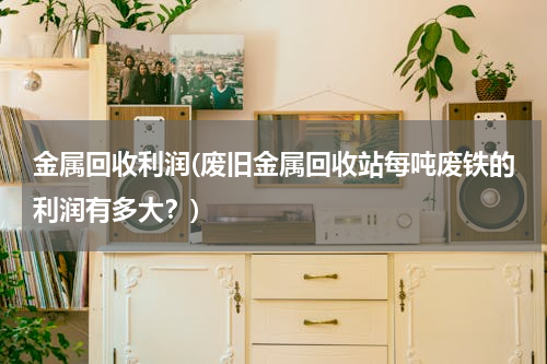 金属回收利润(废旧金属回收站每吨废铁的利润有多大？)