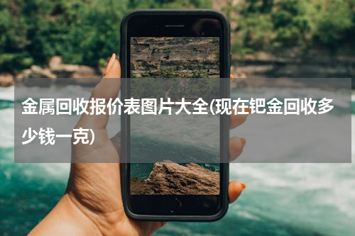 金属回收报价表图片大全(现在钯金回收多少钱一克)