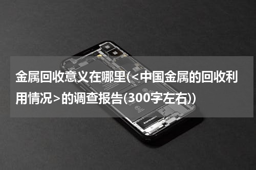 金属回收意义在哪里(<中国金属的回收利用情况>的调查报告(300字左右))