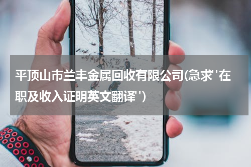 平顶山市兰丰金属回收有限公司(急求"在职及收入证明英文翻译")