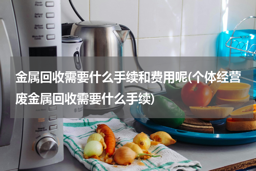 金属回收需要什么手续和费用呢(个体经营废金属回收需要什么手续)