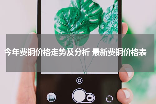 今年费铜价格走势及分析 最新费铜价格表